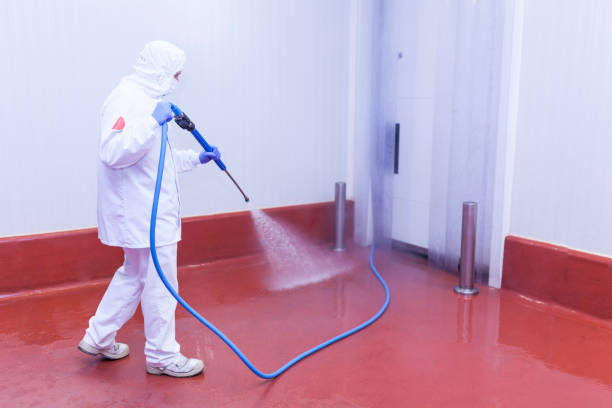  Geneva, NY Pressure Washing Pros